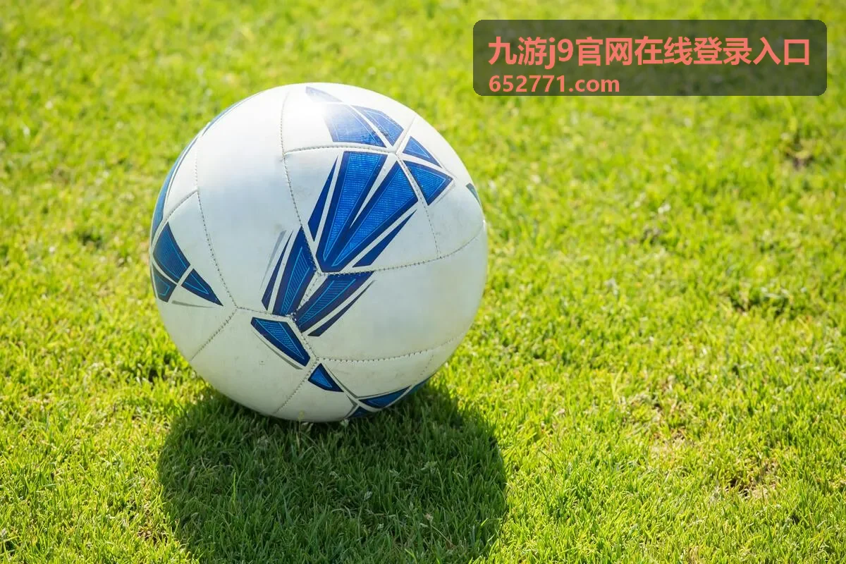 登录入口指引中账号填写位置示意