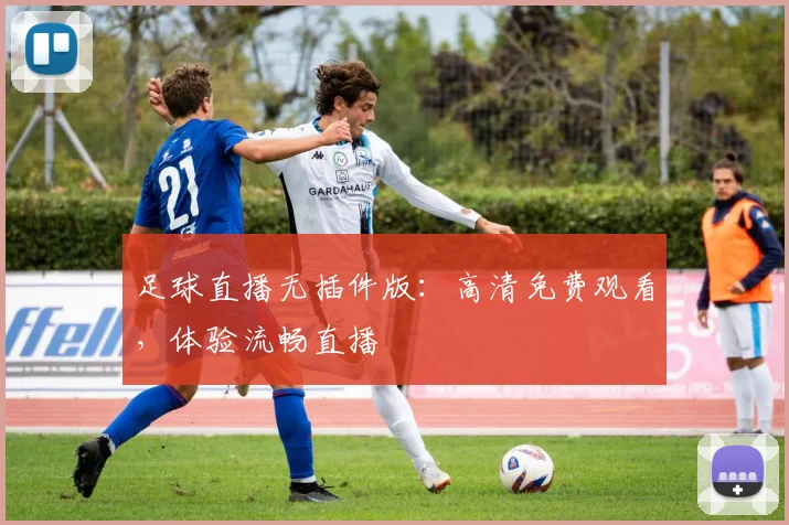 足球直播无插件版：高清免费观看，体验流畅直播