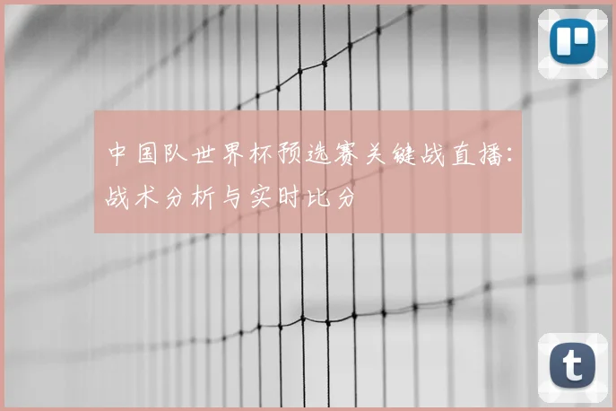中国队世界杯预选赛关键战直播：战术分析与实时比分