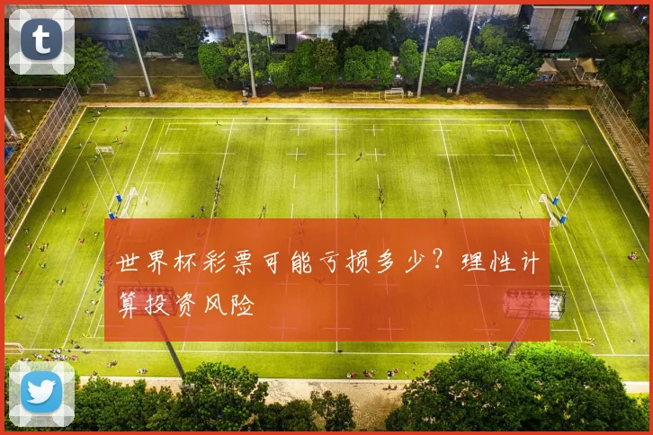 世界杯彩票可能亏损多少？理性计算投资风险