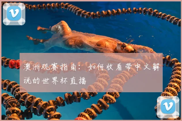 澳洲观赛指南：如何收看带中文解说的世界杯直播